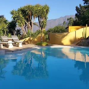 Don Miguel La Palma Villa El Paso